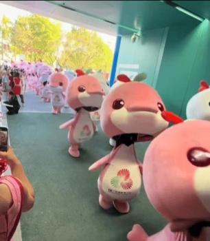 全运会“顶流”表情包来了 国民萌宠引爆网络