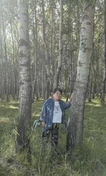 响应号召种树成材后被禁止采伐 农户二十余年护林心酸史