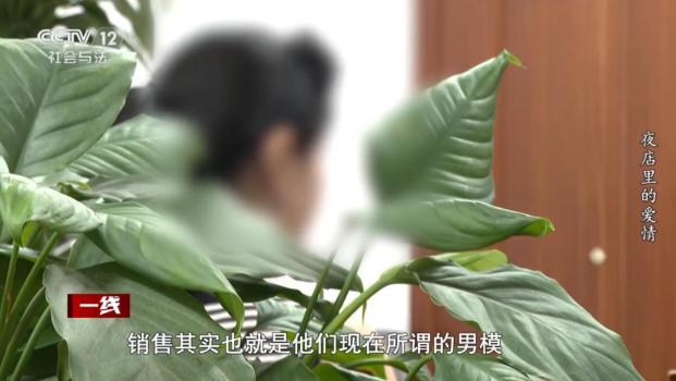 90后男模诈骗两位富婆被判12年 夜店爱情陷阱