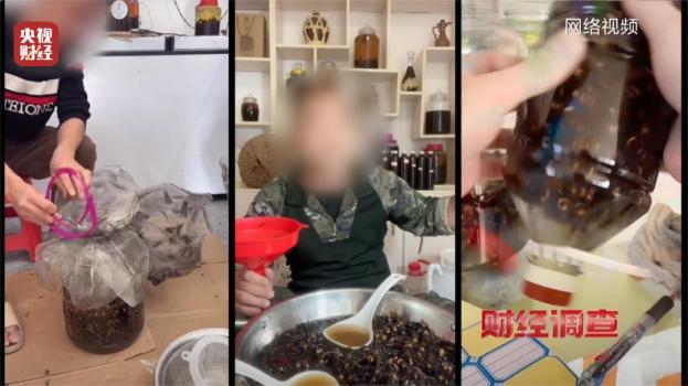 央视曝光被滥养的杀人蜂 揭秘泡酒治病骗局
