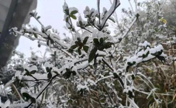 广东冷到“结冰”了 强冷空气来袭