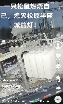 松原辟谣一只松鼠致半城停电 实为负荷过载