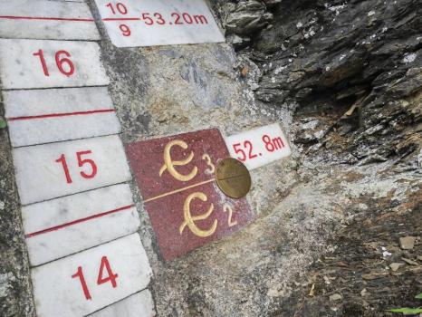 我國“金釘子”面臨失管難題 保護與利用亟待加強