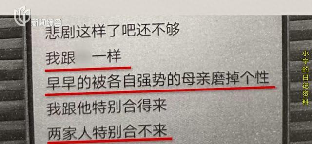 女儿产后抑郁自杀女婿隐瞒墓址4年 法院调解终得祭奠权