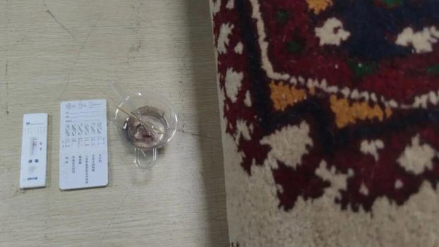 20千克冰毒藏身手工地毯被查 海关严打毒品走私