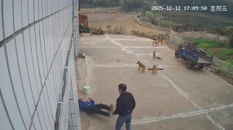 村民被邻居打倒 医院下发病危通知 老实人再遭欺凌