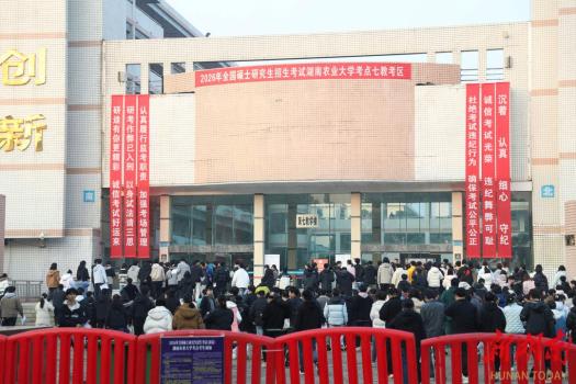 考研人数连降3年释放什么信号 理性择路成趋势