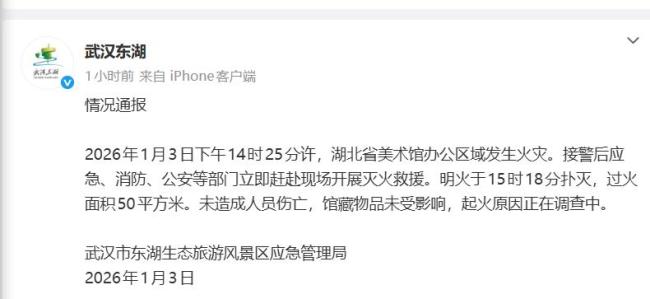 官方通报湖北省美术馆办公区火灾 火势已被控制无伤亡