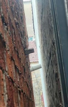 男子杀人拒悔罪 还称后悔“没灭门” 态度嚣张拒不赔偿