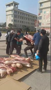 学校给优秀学生发半扇猪整只羊 特别奖品激励学子