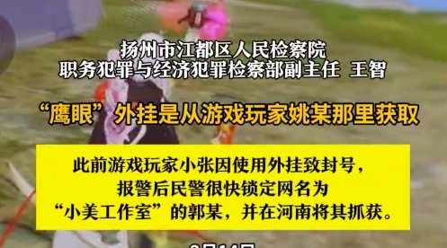 体制内职工写游戏外挂赚30万获刑