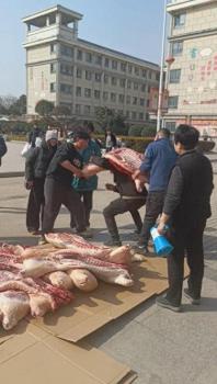 学校给学生发半扇猪整只羊 实物奖励暖人心