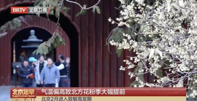 北京已率先进入春季花粉敏感时段 气温偏高加速花粉季来临