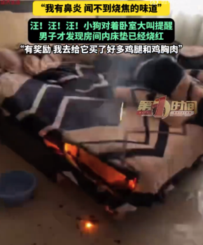 男子回应小狗狂叫提醒卧室着火：给它买了好多鸡腿和鸡胸肉