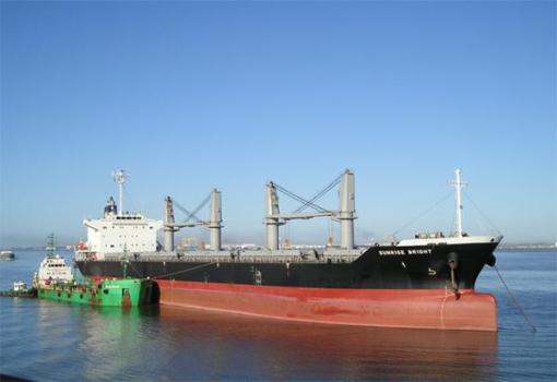 外媒：一艘货船通过霍尔木兹海峡，标注“中国所有”！ 特殊信号避险通行