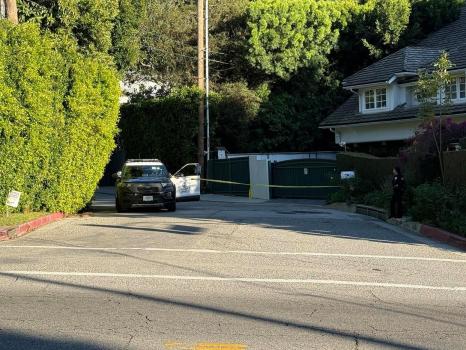 美国流行天后蕾哈娜在家遭枪袭 豪宅外墙受损无人受伤