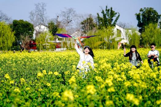 今明两年或成历史最热年份？专家回应 尚需进一步监测研判