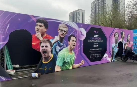 王楚钦、孙颖莎重庆冠军赛宣传图被剪 单人图像消失引发关注