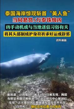 泰国海岸现被斩首“美人鱼” 残忍行为引发调查