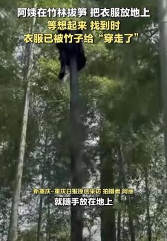 阿姨忘掉的衣服竟然被竹子“穿走” 大自然的神奇力量