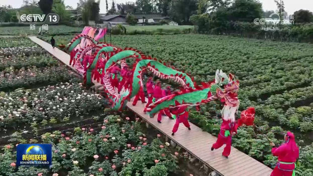 文旅深度融合 春日经济持续火热 赏花流量变经济增量