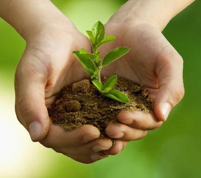 中办国办发文部署节能降碳工作 多领域推进绿色转型