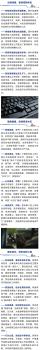 境外间谍对我稀土AI等领域实施窃密 窃密活动愈演愈烈