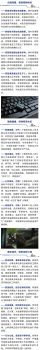 境外间谍对我稀土人工智能等实施窃密 窃密攻势愈演愈烈