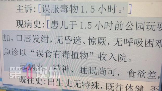幼兒在公園誤舔一口葉子中毒入院 警惕滴水觀音毒性