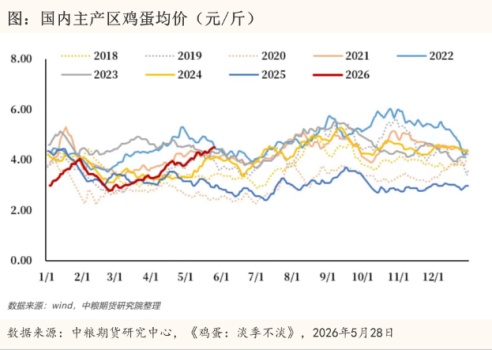 雞蛋現(xiàn)貨突破5元/斤產(chǎn)業(yè)為何不敢囤貨 高利潤下的謹(jǐn)慎心態(tài)