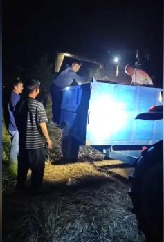鄉(xiāng)親幫患癌村民收完20畝麥子 鄰里溫情互助