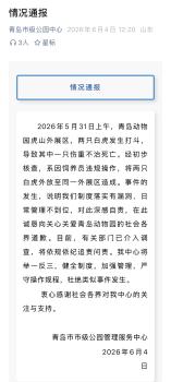 動(dòng)物園兩只白虎打斗致1只傷重死亡 飼養(yǎng)員違規(guī)操作引發(fā)悲劇