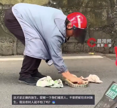 男子用抹布蓋住蛇淡定捏住丟山里 ?溫馨提醒：此類行為存在風(fēng)險(xiǎn)，非專業(yè)人士不應(yīng)模仿