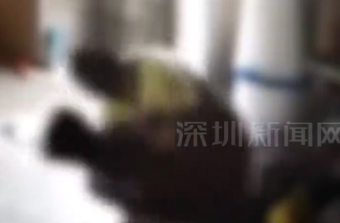 日本66岁老人不放心幼子独活下杀手