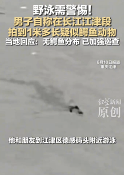 當(dāng)?shù)鼗貞?yīng)男子拍到疑似鱷魚動(dòng)物 正在聯(lián)合排查中