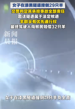 交警回應(yīng)女子隧道撞倒29只羊 夜間行車(chē)需謹(jǐn)慎