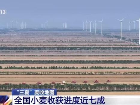 全國2.63億畝小麥已歸倉 夏糧豐收穩(wěn)步推進
