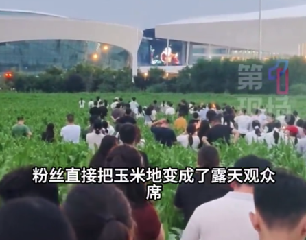 拍摄者回应上百人扎堆玉米地听薛之谦 连充电宝都给安排上了