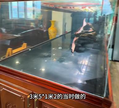 价值20万观赏鱼死亡主人含泪开席 心态豁达品尝“天价”鱼宴