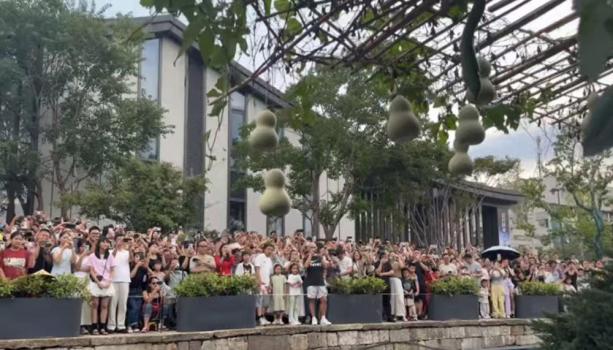 “葫芦娃爷爷”连夜剪下阳台7个葫芦 为游客安全与老人休息考虑
