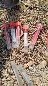 福利院外发现多支病毒采样管 来源成谜待查