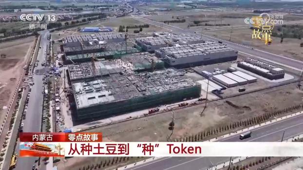 以前种土豆现在种Token 年轻人投身新赛道