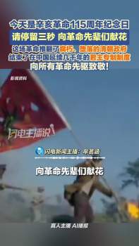 今天是辛亥革命115周年纪念日 向革命先辈献花