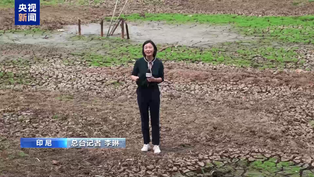 印尼旱情加剧 一湖泊近乎干涸 厄尔尼诺影响显现