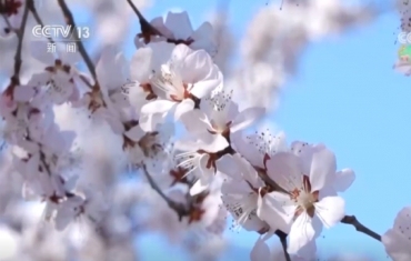 多彩活动点燃春日文旅消费热情