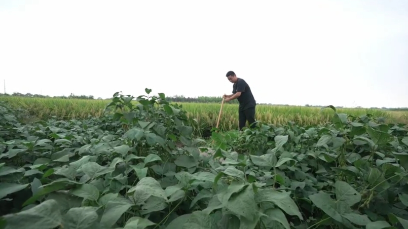 ‘눙얼따이’ 저우디솨이의 현대 농업 이야기