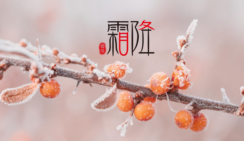 今日霜降：停车坐爱枫林晚，霜叶红于二月花