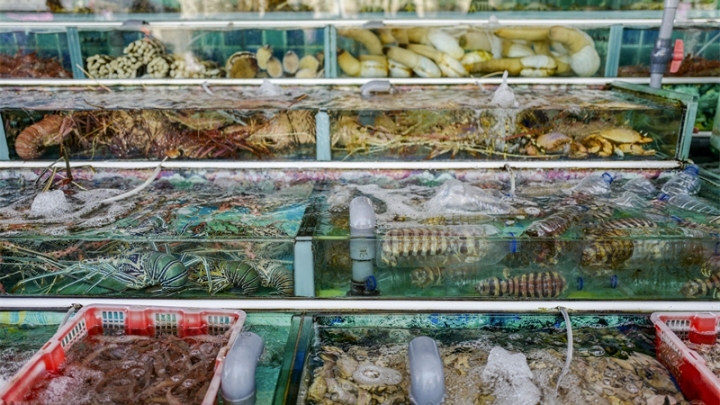 Hong Kong: consumare frutti di mare al porto Sai Kung