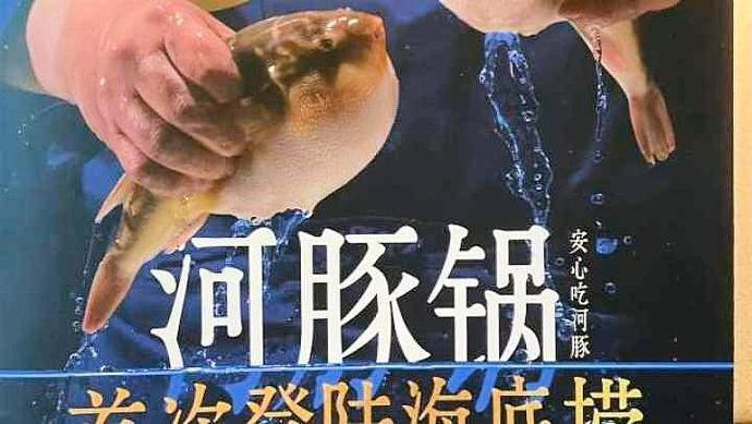 天天3·15|四川网友疑似在海底捞吃河豚中毒，饭店已派专人处理