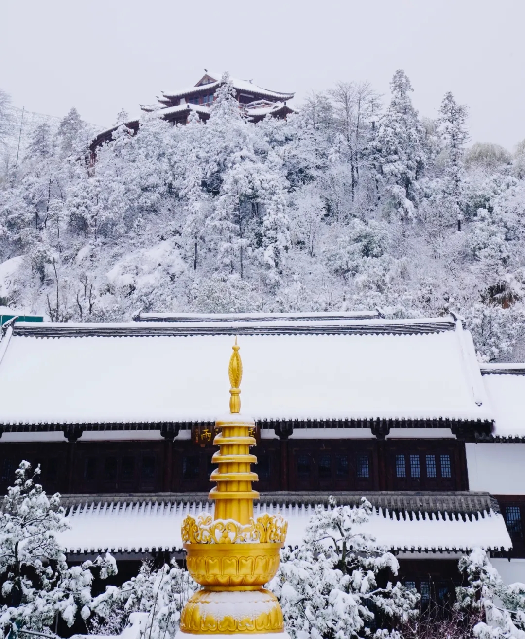 辛丑岁末，径山禅寺再迎瑞雪